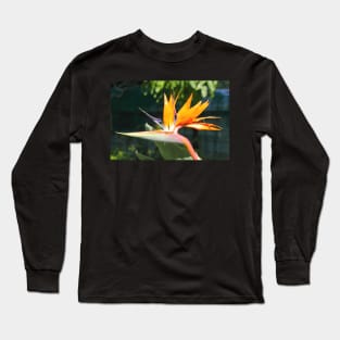 Bird of Paradise or Crane Lily Long Sleeve T-Shirt